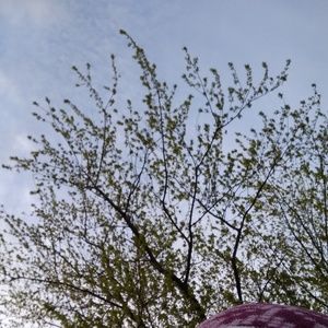 Meet your Posher, Ali